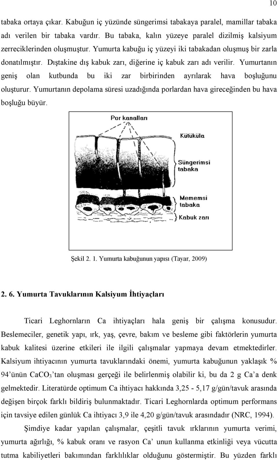 Yumurtanın geniş olan kutbunda bu iki zar birbirinden ayrılarak hava boşluğunu oluşturur. Yumurtanın depolama süresi uzadığında porlardan hava gireceğinden bu hava boşluğu büyür. Şekil 2. 1.