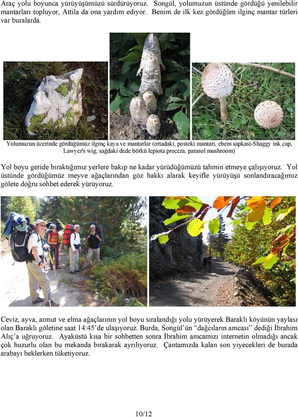 Yolumuzun üzerinde gördüğümüz ilginç kaya ve mantarlar (ortadaki, posteki mantari, ebem sapkasi-shaggy ink cap, Lawyer's wig, sağdaki dede börkü lepiota procera, parasol mushroom) Yol boyu geride