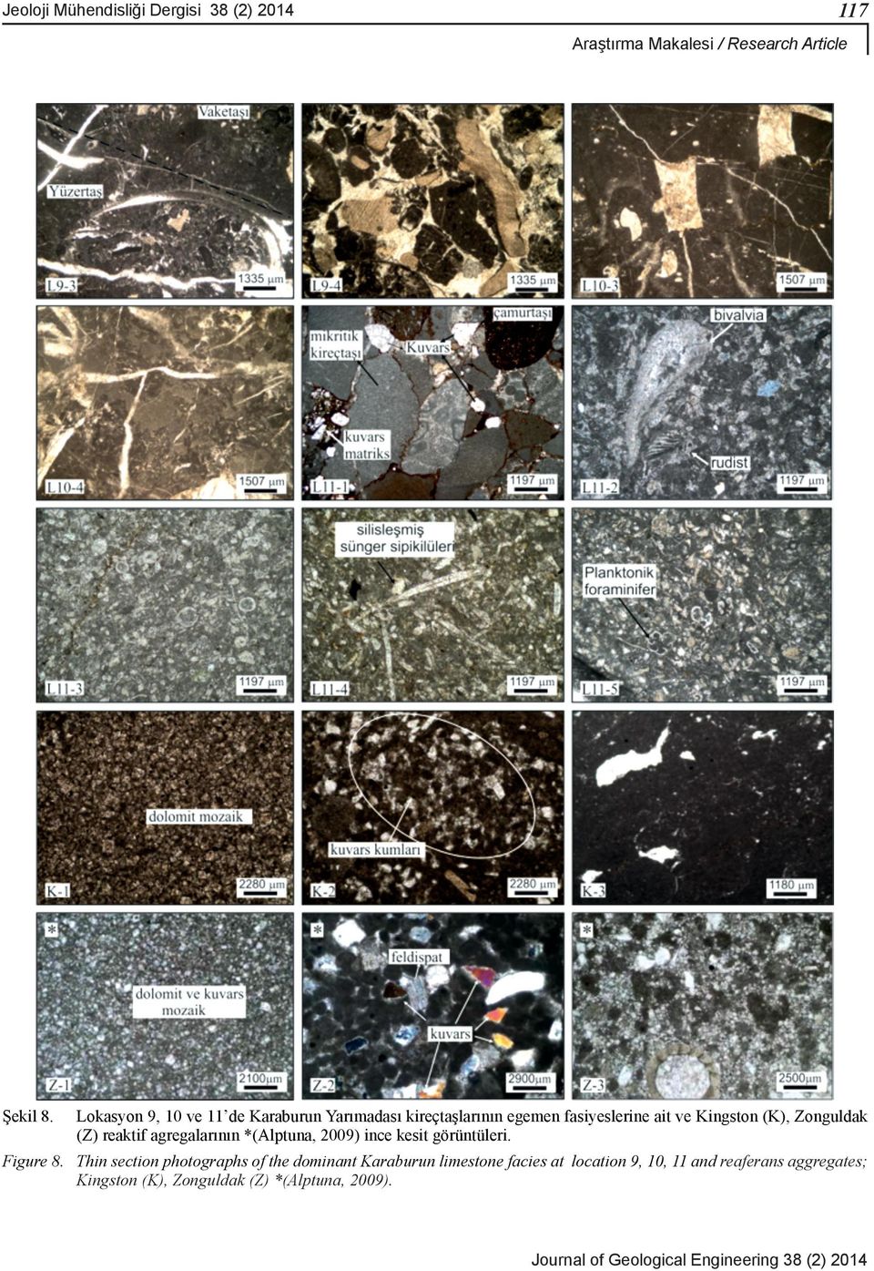 reaktif agregalarının *(Alptuna, 2009) ince kesit görüntüleri. Figure 8.