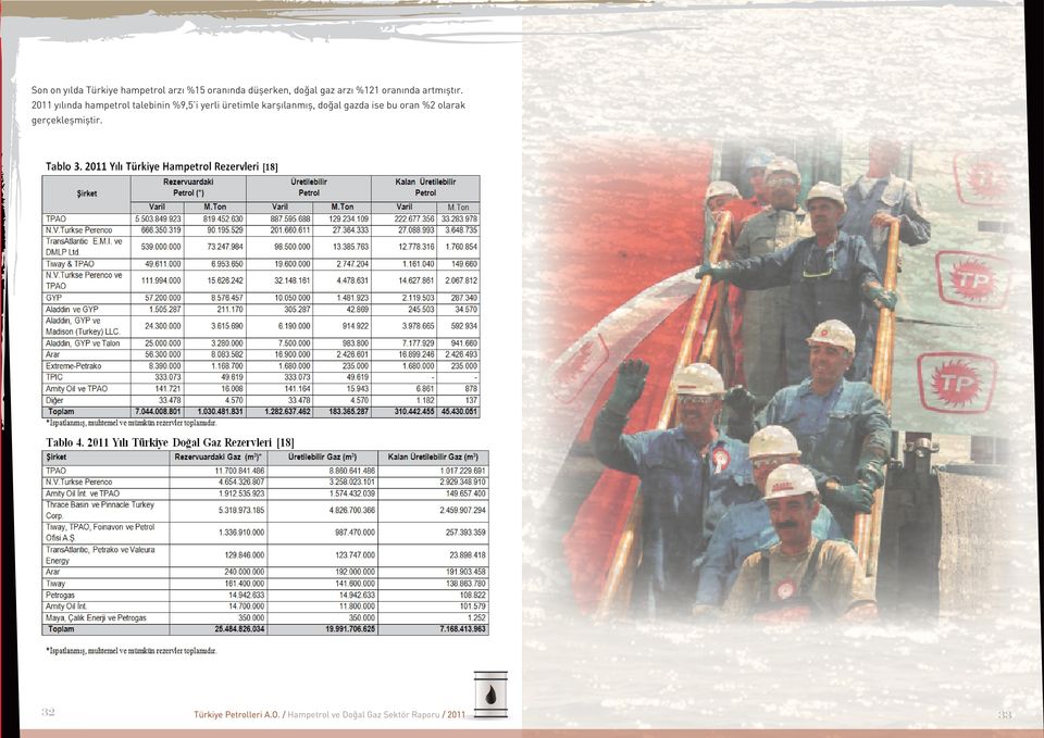 2011 yılında hampetrol talebinin %9,5 i yerli üretimle karşılanmış, doğal