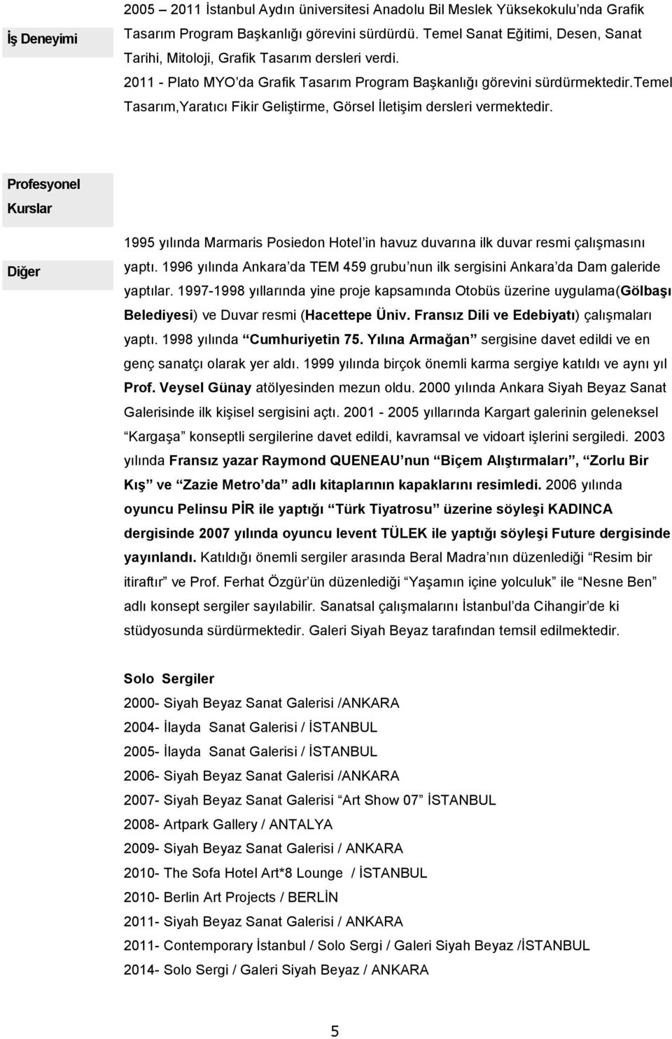 temel Tasarım,Yaratıcı Fikir Geliştirme, Görsel İletişim dersleri vermektedir. Profesyonel Kurslar Diğer 1995 yılında Marmaris Posiedon Hotel in havuz duvarına ilk duvar resmi çalışmasını yaptı.