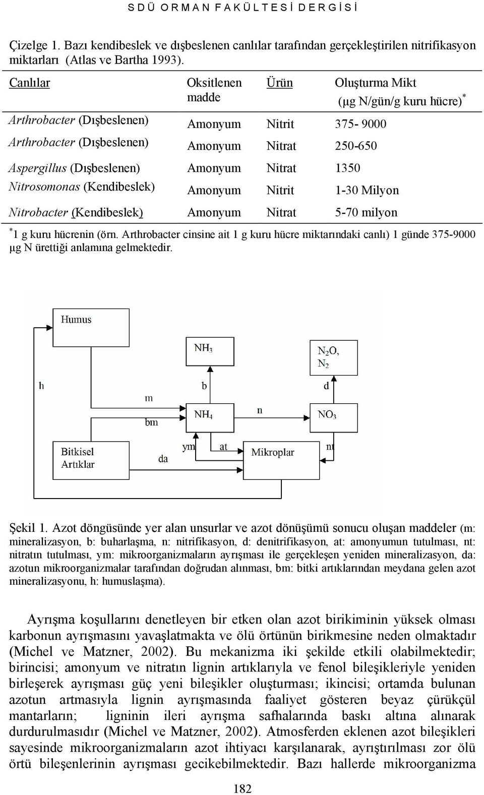 (Kendibeslek) Amonyum Nitrit 1-30 Milyon Nitrobacter (Kendibeslek) Amonyum Nitrat 5-70 milyon Oluşturma Mikt (µg N/gün/g kuru hücre) * * 1 g kuru hücrenin (örn.