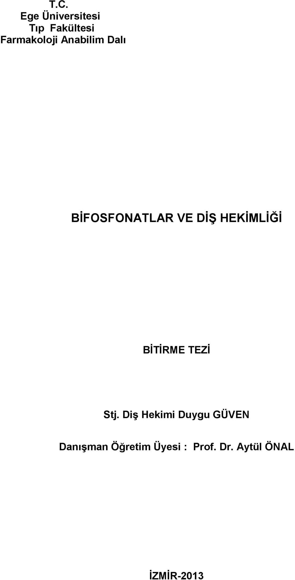 BİTİRME TEZİ Stj.