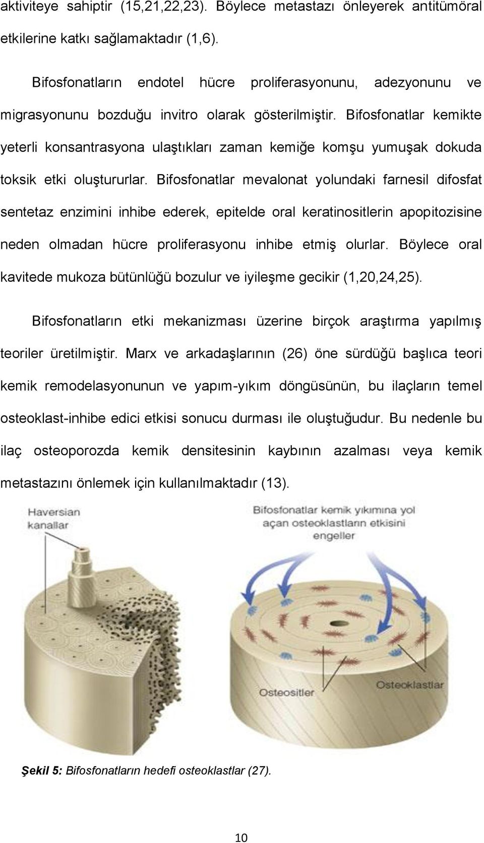 Bifosfonatlar kemikte yeterli konsantrasyona ulaştıkları zaman kemiğe komşu yumuşak dokuda toksik etki oluştururlar.