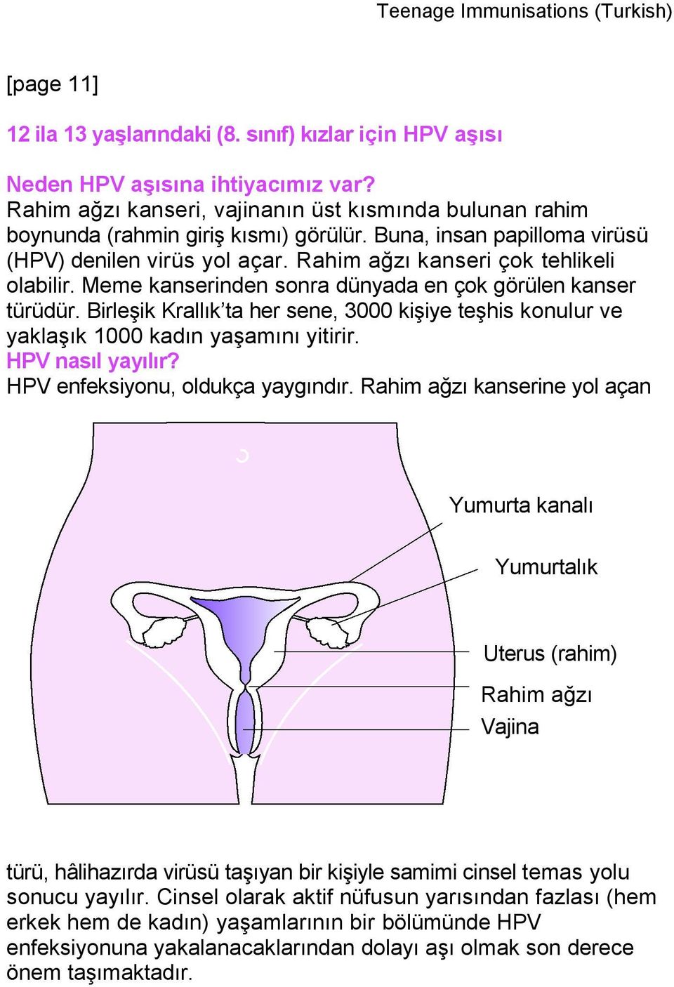 Birleşik Krallık ta her sene, 3000 kişiye teşhis konulur ve yaklaşık 1000 kadın yaşamını yitirir. HPV nasıl yayılır? HPV enfeksiyonu, oldukça yaygındır.
