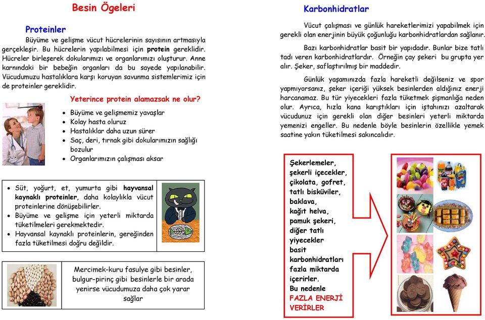 Vücudumuzu hastalıklara karşı koruyan savunma sistemlerimiz için de proteinler gereklidir. Yeterince protein alamazsak ne olur?