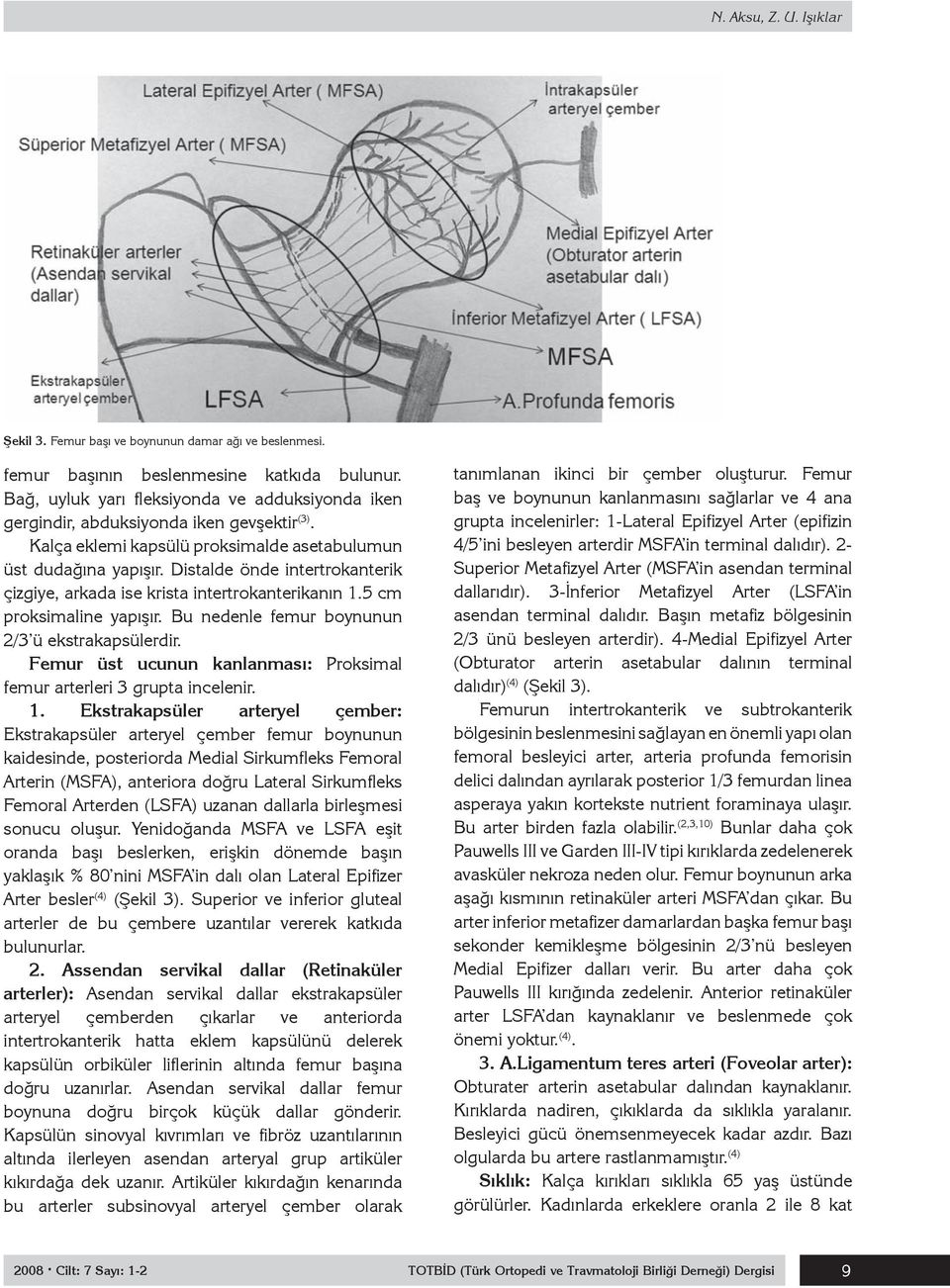 Distalde önde intertrokanterik çizgiye, arkada ise krista intertrokanterikanın 1.5 cm proksimaline yapışır. Bu nedenle femur boynunun 2/3 ü ekstrakapsülerdir.