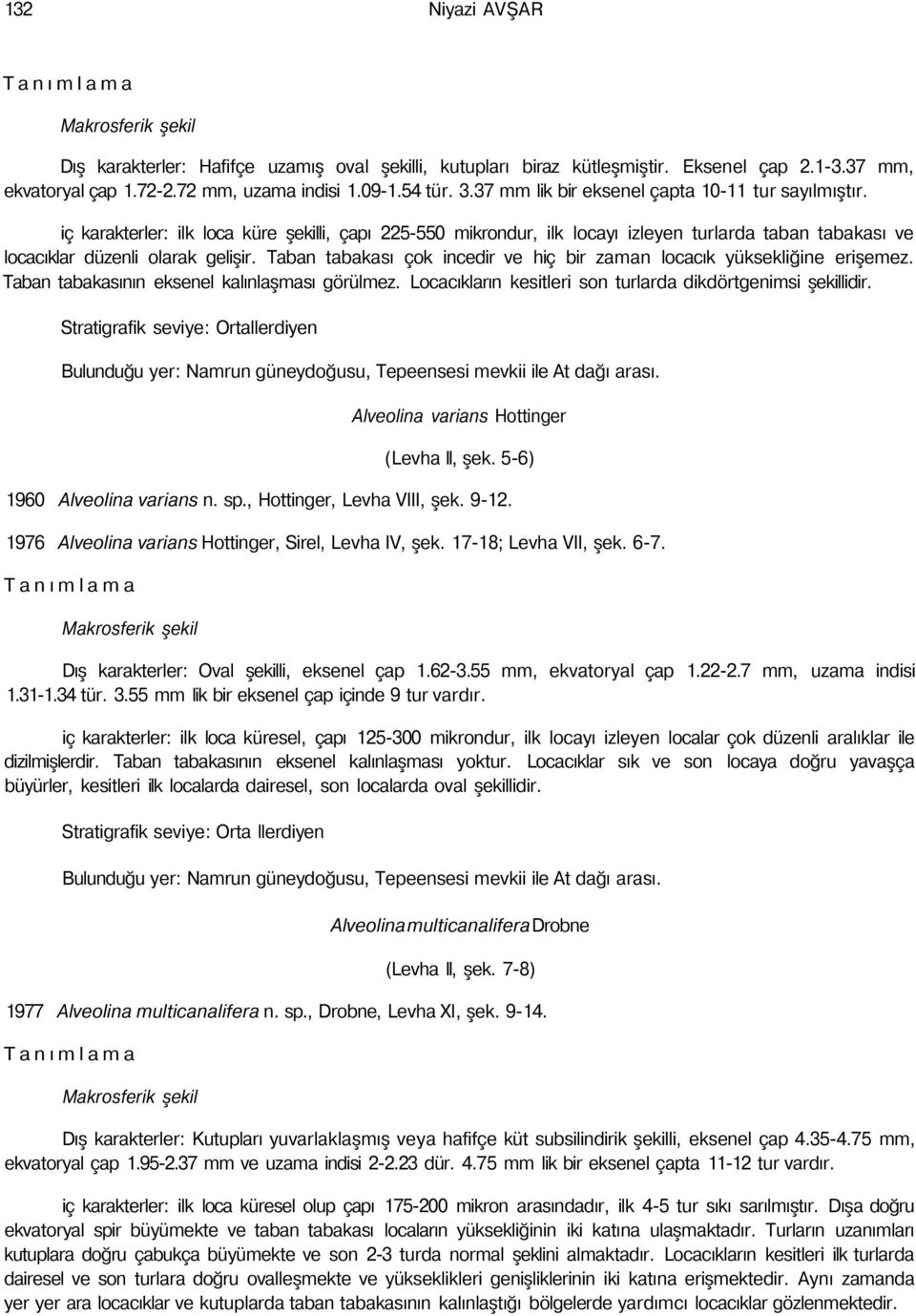 Taban tabakası çok incedir ve hiç bir zaman locacık yüksekliğine erişemez. Taban tabakasının eksenel kalınlaşması görülmez. Locacıkların kesitleri son turlarda dikdörtgenimsi şekillidir.