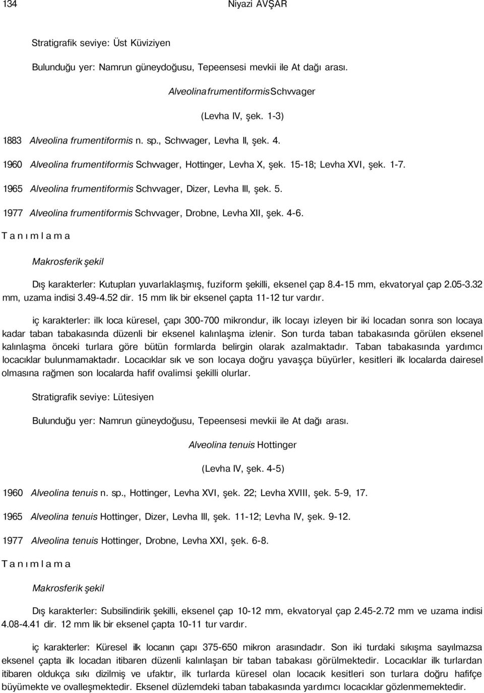 1977 Alveolina frumentiformis Schvvager, Drobne, Levha XII, şek. 4-6. Makrosferik şekil Dış karakterler: Kutupları yuvarlaklaşmış, fuziform şekilli, eksenel çap 8.4-15 mm, ekvatoryal çap 2.05-3.