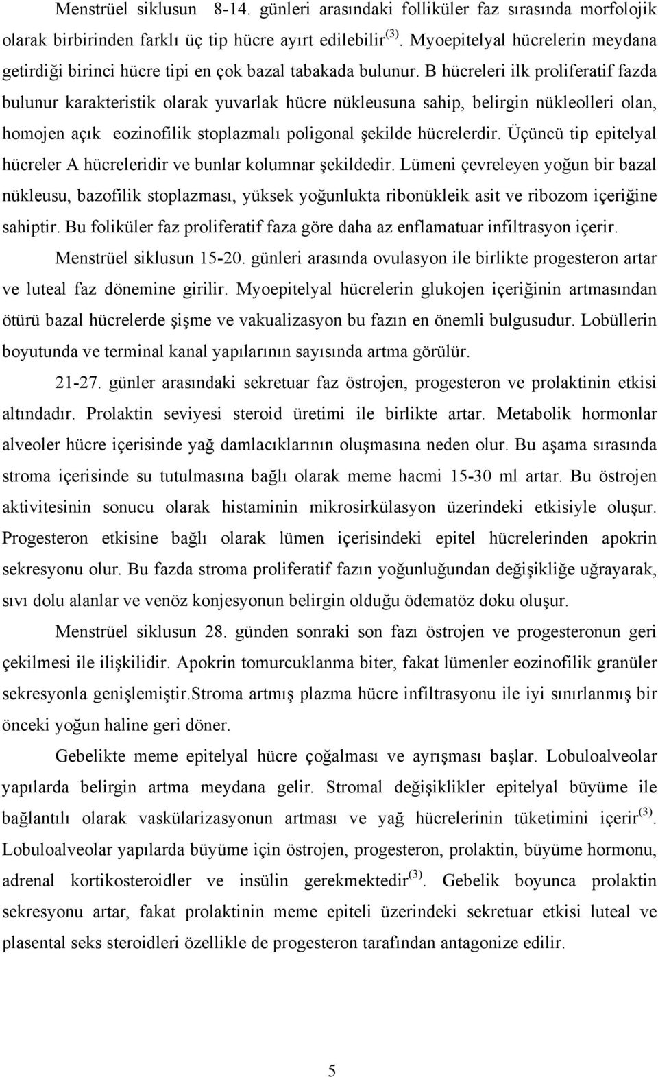 B hücreleri ilk proliferatif fazda bulunur karakteristik olarak yuvarlak hücre nükleusuna sahip, belirgin nükleolleri olan, homojen açık eozinofilik stoplazmalı poligonal şekilde hücrelerdir.