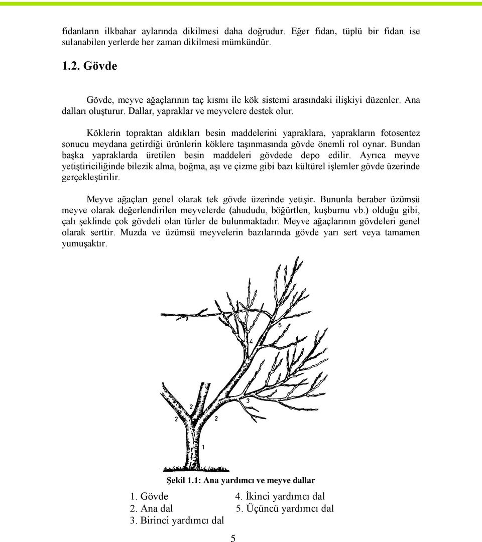 Köklerin topraktan aldıkları besin maddelerini yapraklara, yaprakların fotosentez sonucu meydana getirdiği ürünlerin köklere taģınmasında gövde önemli rol oynar.