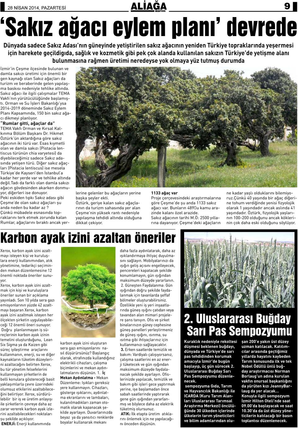 üretimi için önemli bir gen kaynağı olan Sakız ağaçları da turizm ve beraberinde gelen yapılaşma baskısı nedeniyle tehlike altında.