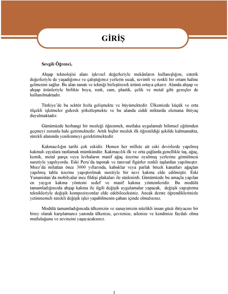 Türkiye de bu sektör hzla geli mekte ve büyümektedir. Ülkemizde küçük ve orta ölçekli i letmeler giderek irketle mekte ve bu alanda ciddi miktarda elemana ihtiyaç duyulmaktad r.