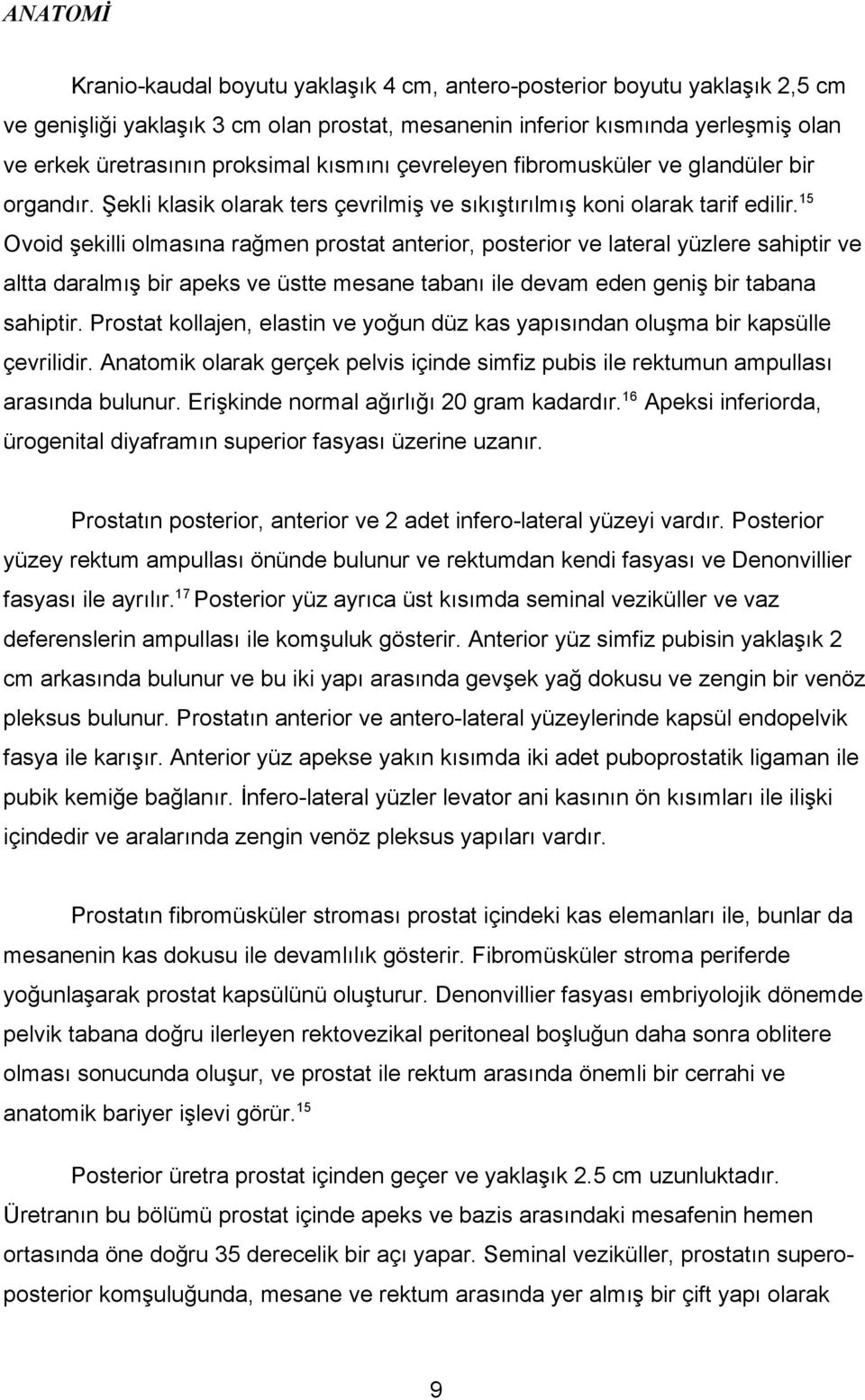 15 Ovoid şekilli olmasına rağmen prostat anterior, posterior ve lateral yüzlere sahiptir ve altta daralmış bir apeks ve üstte mesane tabanı ile devam eden geniş bir tabana sahiptir.