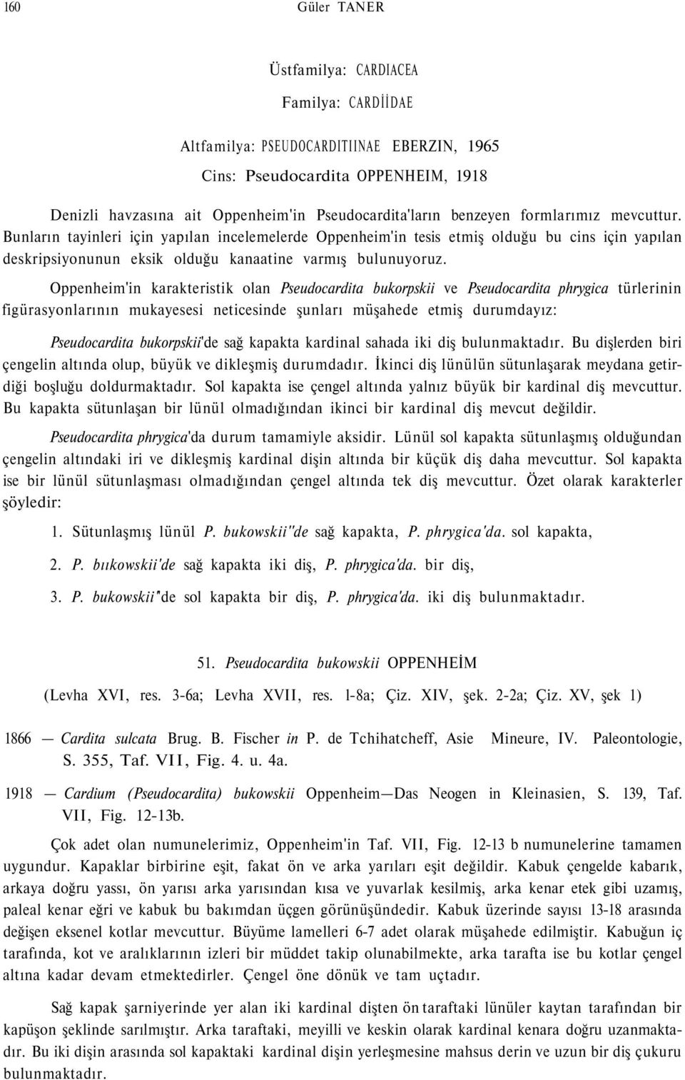 Oppenheim'in karakteristik olan Pseudocardita bukorpskii ve Pseudocardita phrygica türlerinin figürasyonlarının mukayesesi neticesinde şunları müşahede etmiş durumdayız: Pseudocardita bukorpskii'de