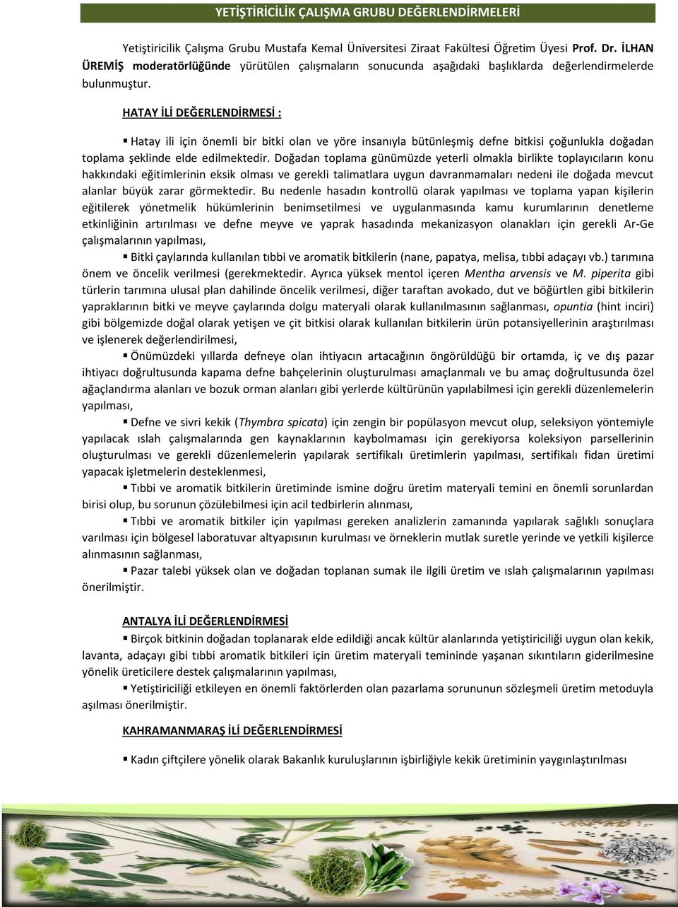 HATAY İLİ DEĞERLENDİRMESİ : Hatay ili için önemli bir bitki olan ve yöre insanıyla bütünleşmiş defne bitkisi çoğunlukla doğadan toplama şeklinde elde edilmektedir.