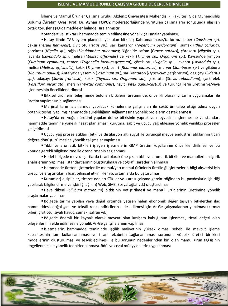 Standart ve istikrarlı hammadde temin edilmesine yönelik çalışmalar yapılması, Hatay ilinde TAB eylem planında yer alan bitkiler; Kahramanmaraş ta kırmızı biber (Capsicum sp), çakşır (Ferula