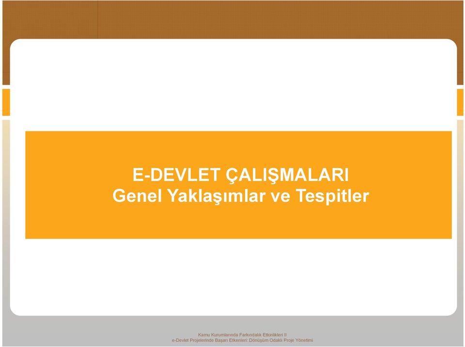 e-devlet Projelerinde Başarı