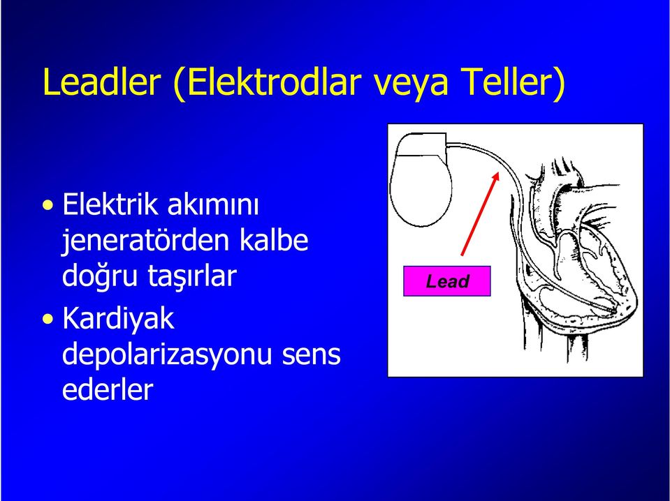 jeneratörden kalbe doğru