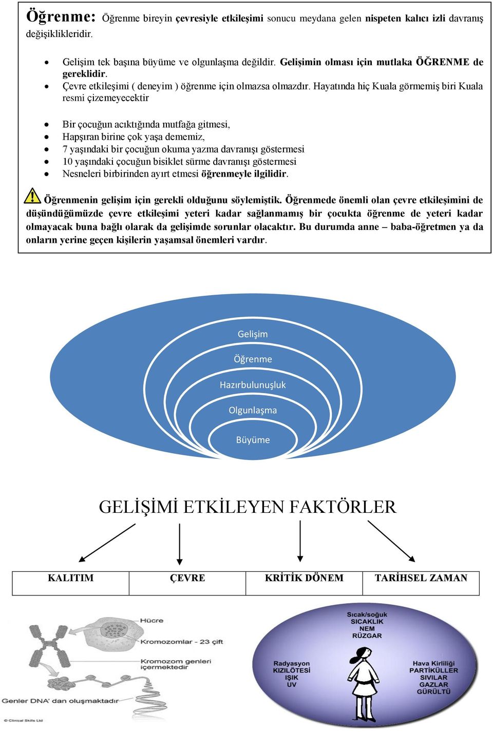 Hayatında hiç Kuala görmemiģ biri Kuala resmi çizemeyecektir Bir çocuğun acıktığında mutfağa gitmesi, HapĢıran birine çok yaģa dememiz, 7 yaģındaki bir çocuğun okuma yazma davranıģı göstermesi 10