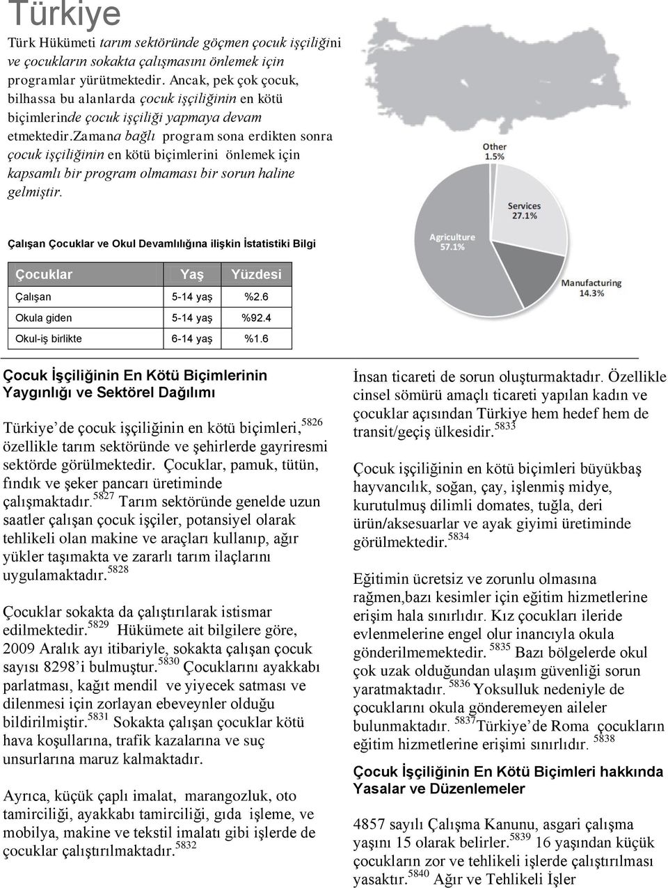 zamana bağlı program sona erdikten sonra çocuk işçiliğinin en kötü biçimlerini önlemek için kapsamlı bir program olmaması bir sorun haline gelmiştir.