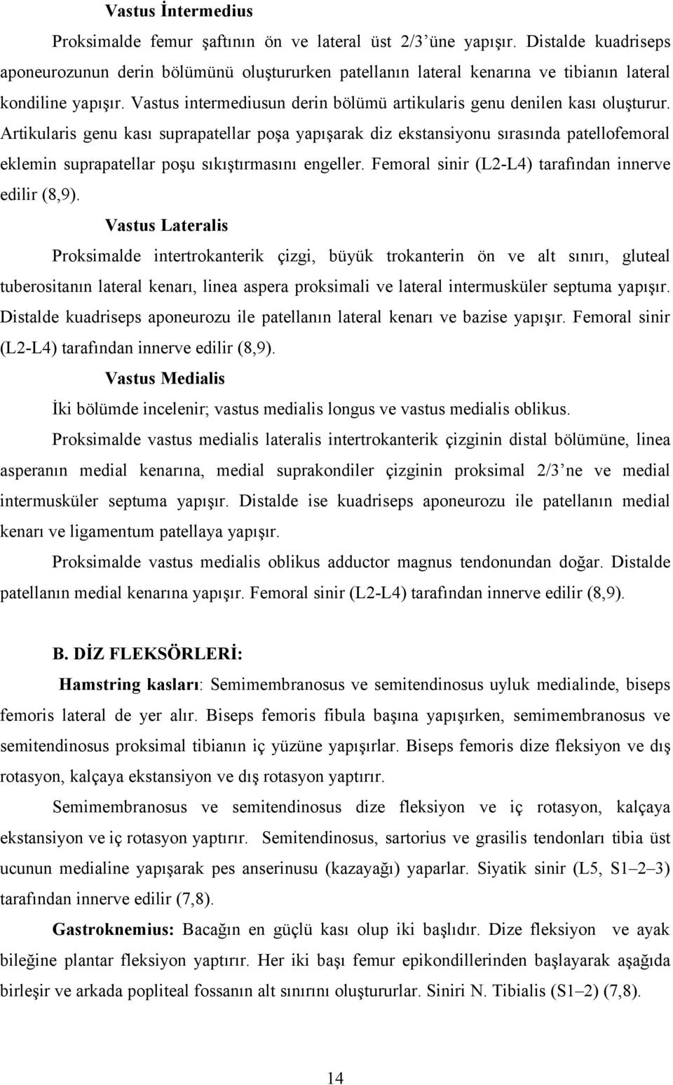 Vastus intermediusun derin bölümü artikularis genu denilen kası oluşturur.