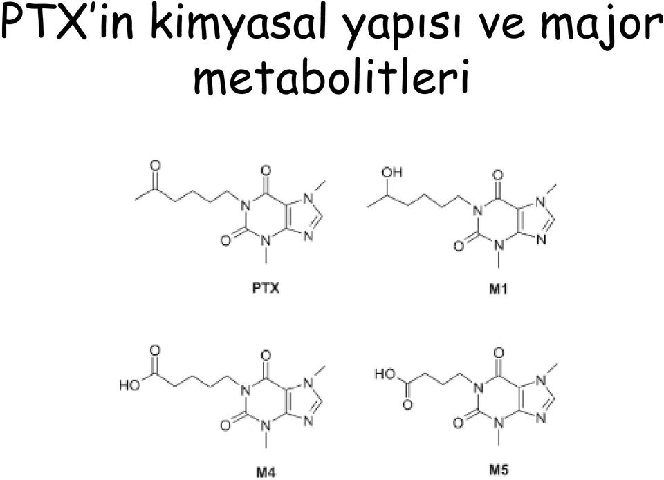 yapısı ve