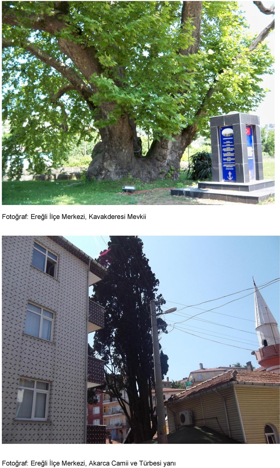 Merkezi, Akarca Camii ve