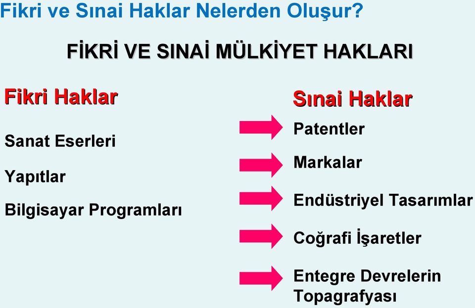 Eserleri Yapıtlar Bilgisayar Programları Sınai Haklar