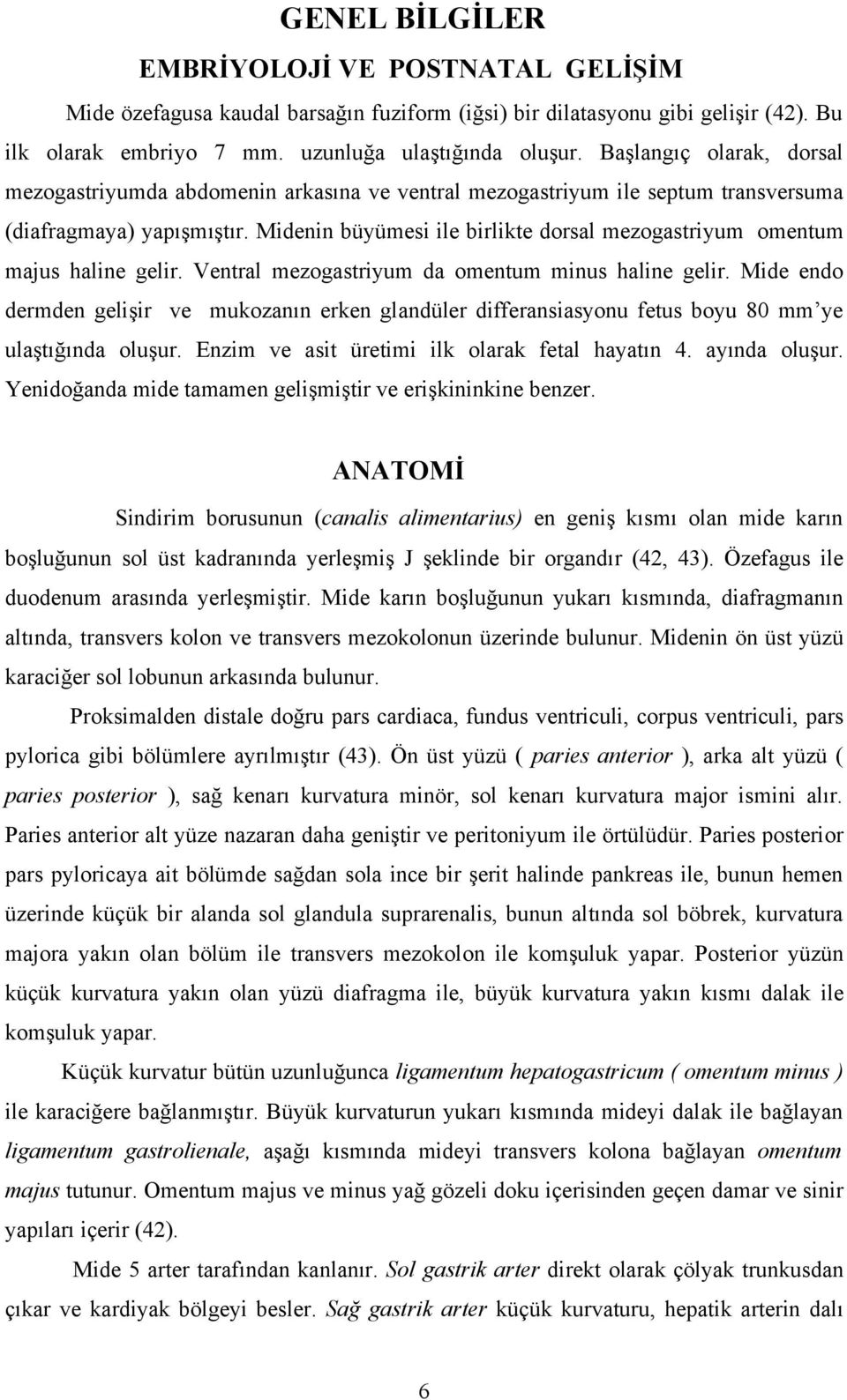 Midenin büyümesi ile birlikte dorsal mezogastriyum omentum majus haline gelir. Ventral mezogastriyum da omentum minus haline gelir.