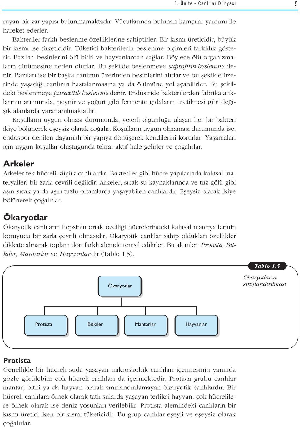 Böylece ölü organizmalar n çürümesine neden olurlar. Bu flekilde beslenmeye saprofitik beslenme denir.