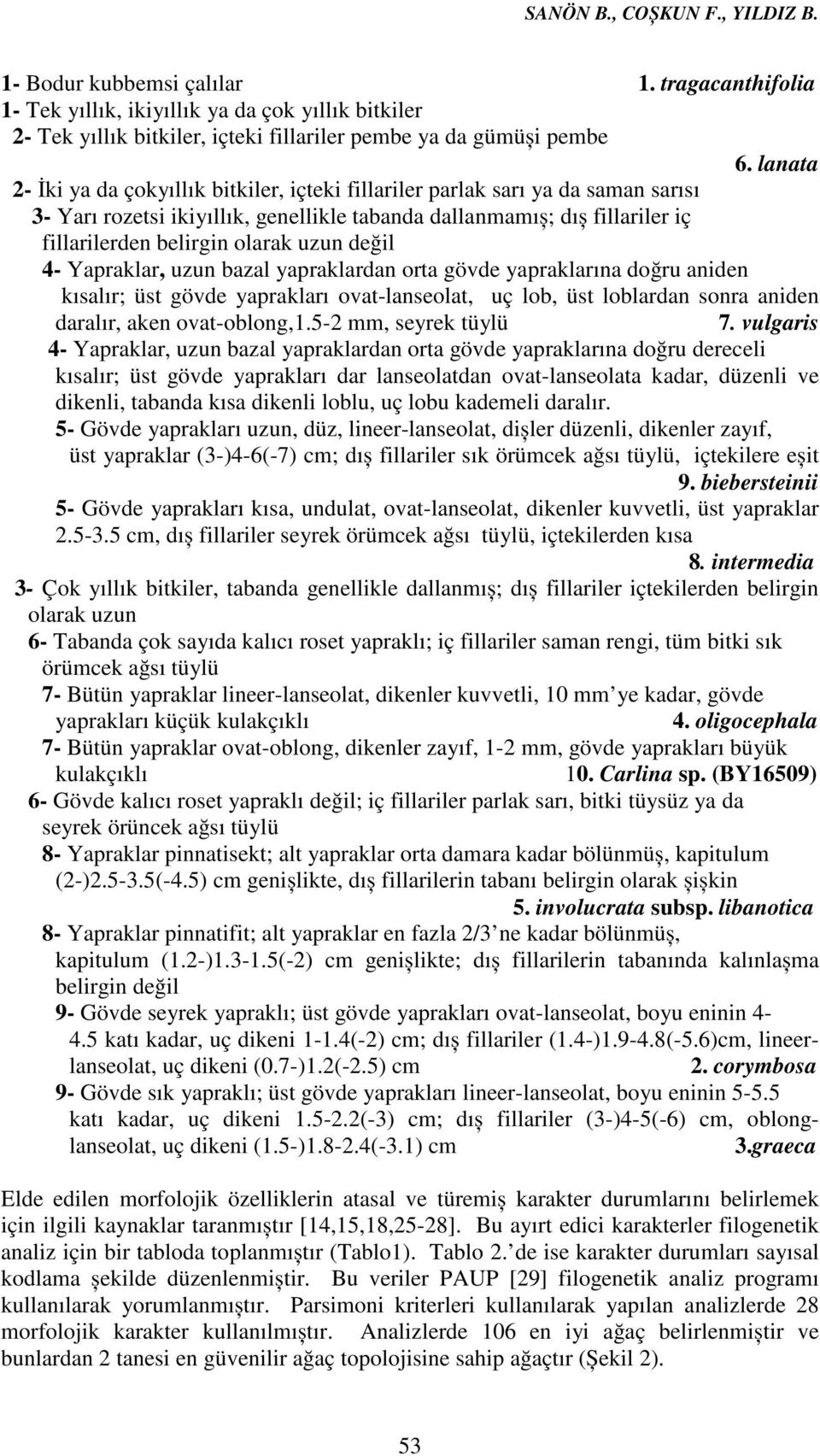 uzun değil 4- Yapraklar, uzun bazal yapraklardan orta gövde yapraklarına doğru aniden kısalır; üst gövde yaprakları ovat-lanseolat, uç lob, üst loblardan sonra aniden daralır, aken ovat-oblong,1.