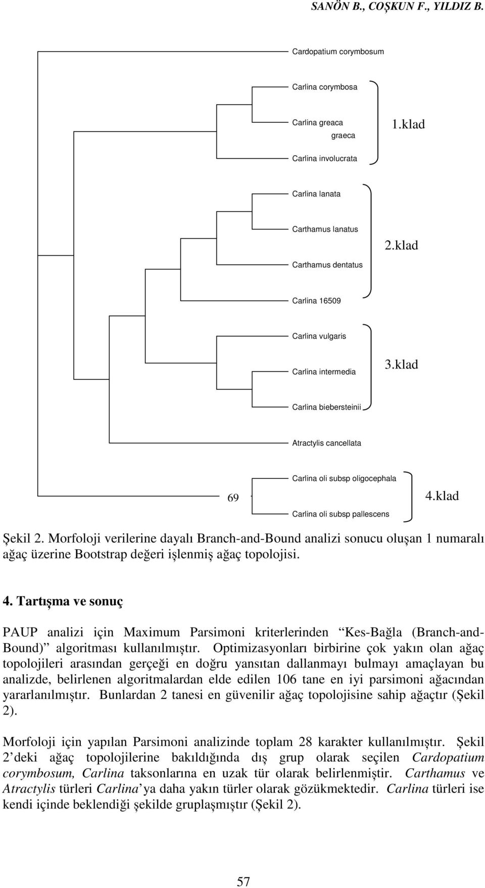 klad Șekil 2. Morfoloji verilerine dayalı Branch-and-Bound analizi sonucu olușan 1 numaralı ağaç üzerine Bootstrap değeri ișlenmiș ağaç topolojisi. 4.