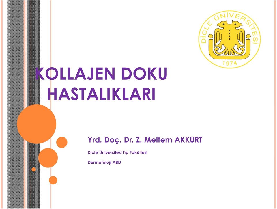 Meltem AKKURT Dicle