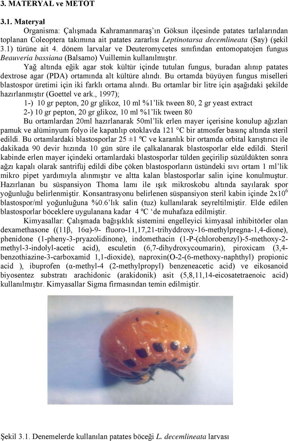 dönem larvalar ve Deuteromycetes sınıfından entomopatojen fungus Beauveria bassiana (Balsamo) Vuillemin kullanılmıştır.