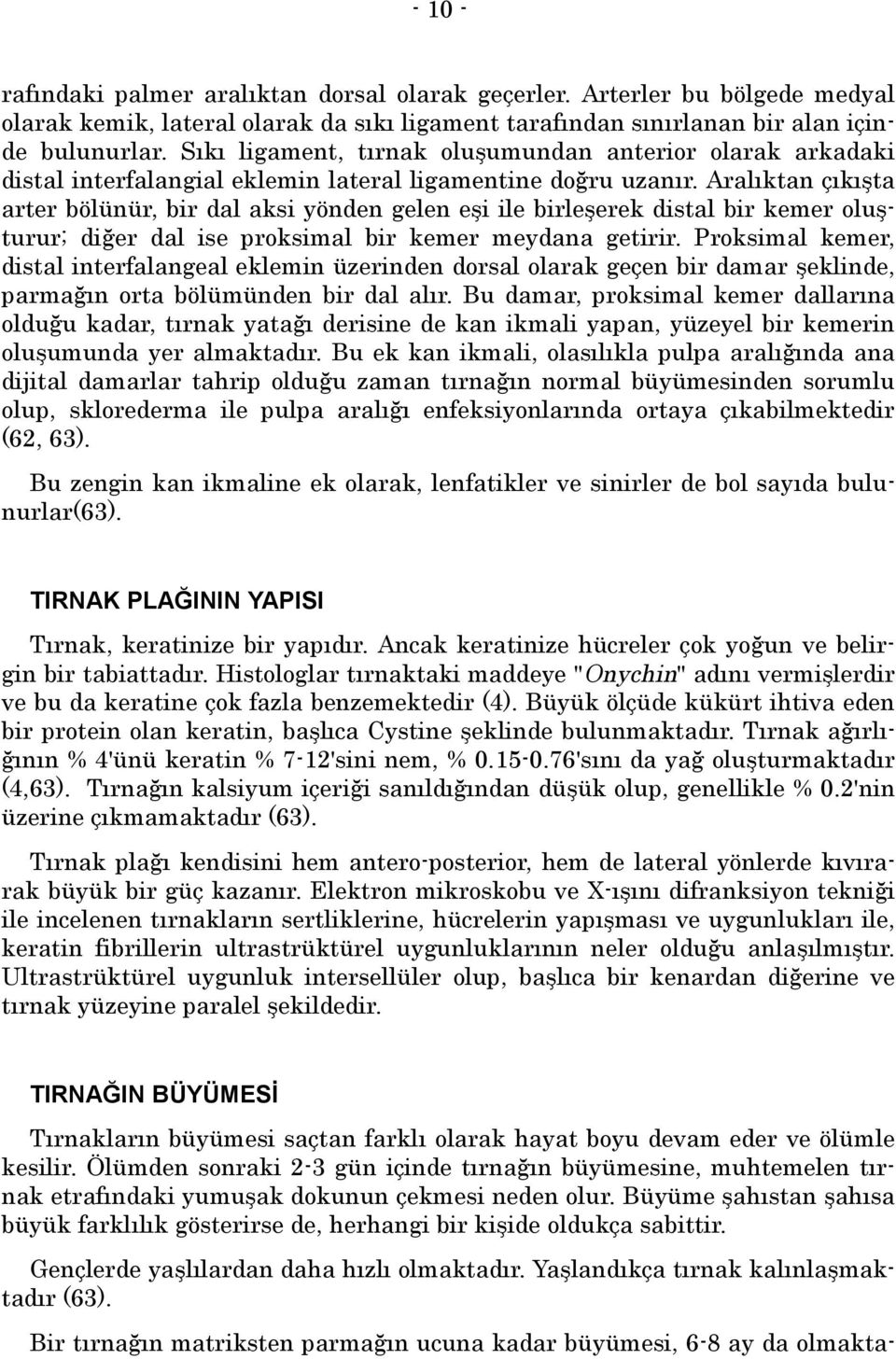 Aralõktan çõkõşta arter bölünür, bir dal aksi yönden gelen eşi ile birleşerek distal bir kemer oluşturur; diğer dal ise proksimal bir kemer meydana getirir.