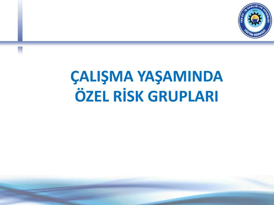 ÖZEL RİSK