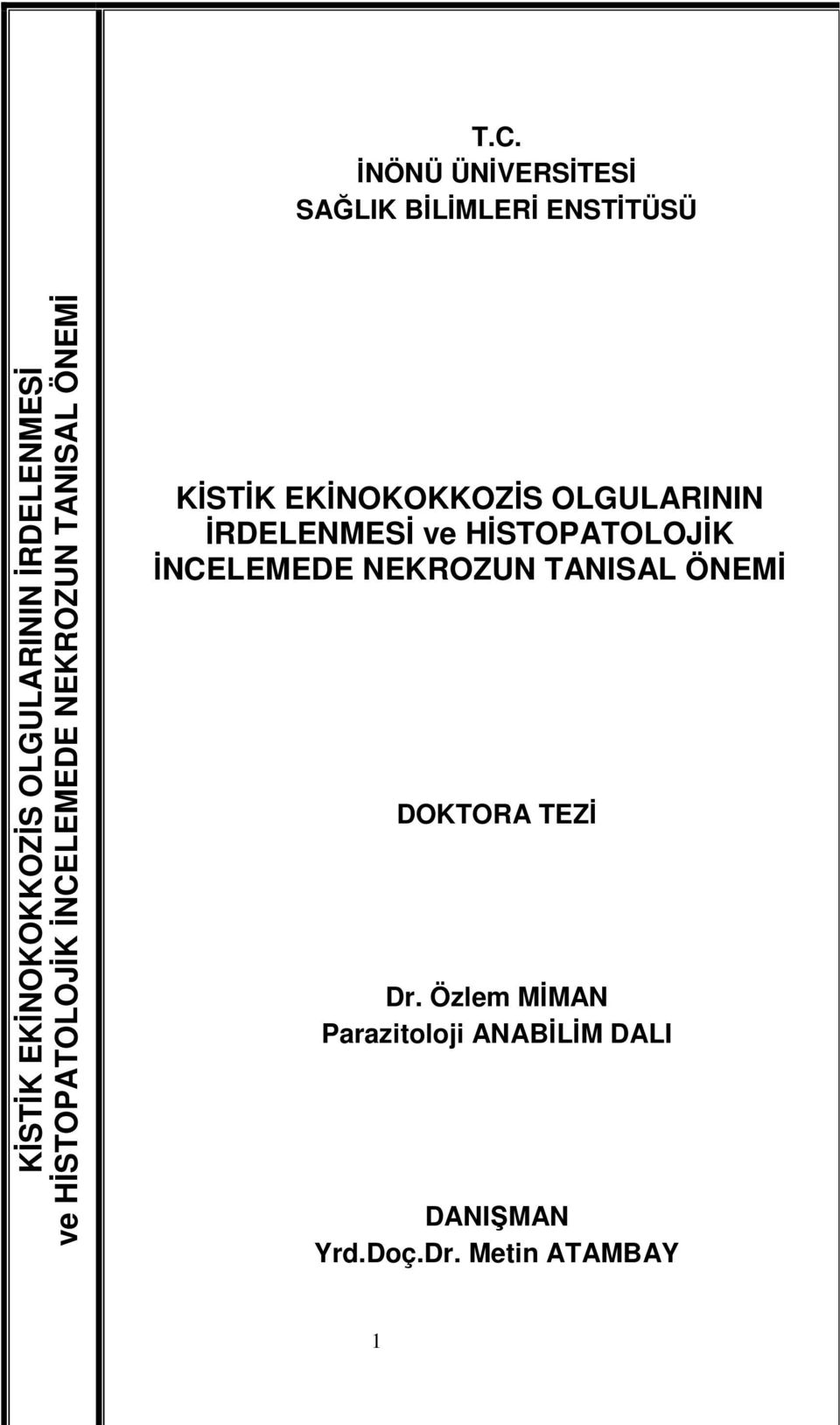 OLGULARININ İRDELENMESİ ve HİSTOPATOLOJİK İNCELEMEDE NEKROZUN TANISAL ÖNEMİ DOKTORA