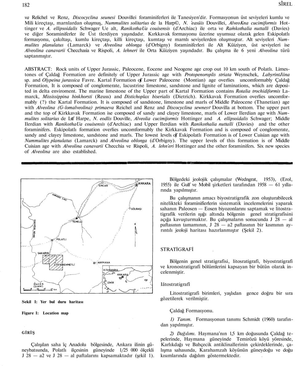 ellipsoidalis Schwager Ue alt, RanikothaUa couisensis (d'archiac) ile orta ve Ramkothalia nuttalli (Davies) ve diğer Soraminiferler ile Üst tlerdiyen yaşındadır.