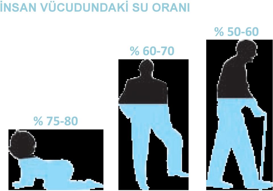 SU ORANI %