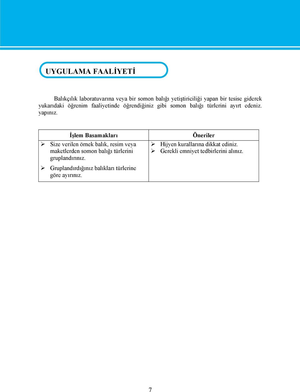 İşlem Basamakları Size verilen örnek balık, resim veya maketlerden somon balığı türlerini gruplandırınız.