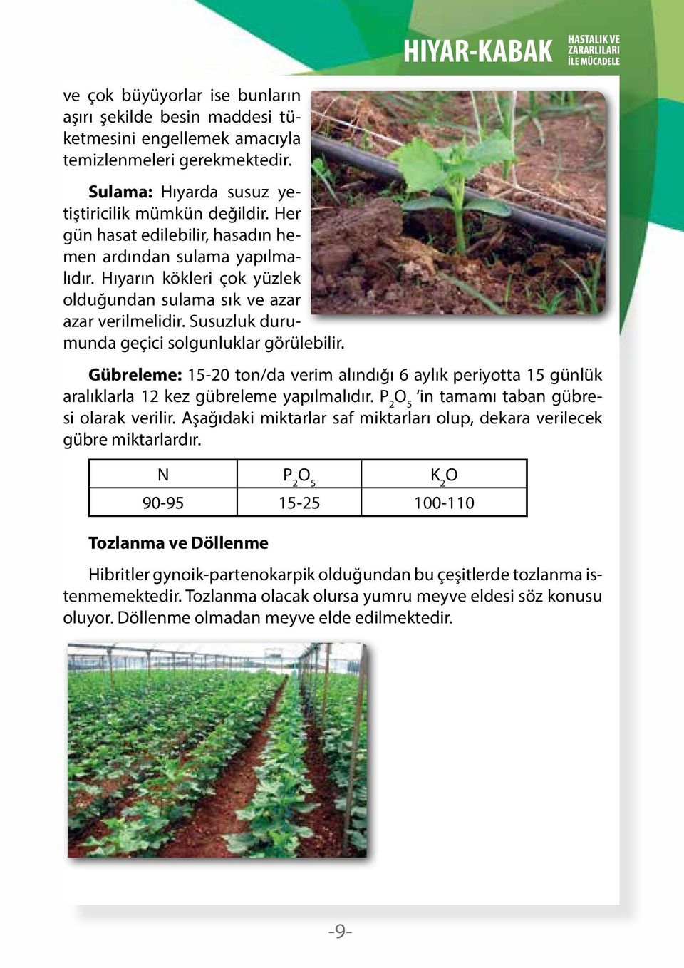 HIYAR-KABAK Gübreleme: 15-20 ton/da verim alındığı 6 aylık periyotta 15 günlük aralıklarla 12 kez gübreleme yapılmalıdır. P 2 O 5 in tamamı taban gübresi olarak verilir.