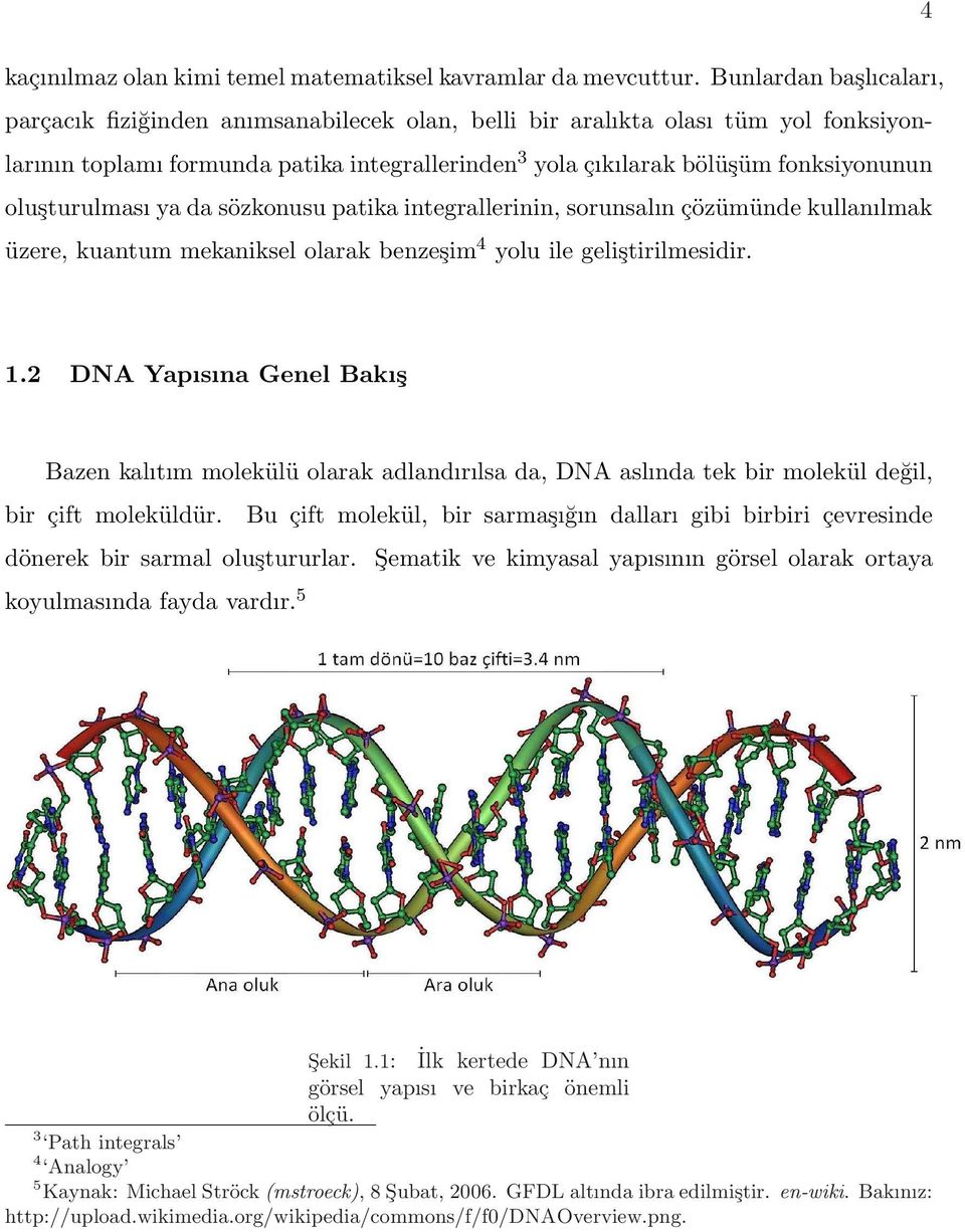 oluşturulması ya da sözkonusu patika integrallerinin, sorunsalın çözümünde kullanılmak üzere, kuantum mekaniksel olarak benzeşim 4 yolu ile geliştirilmesidir. 1.