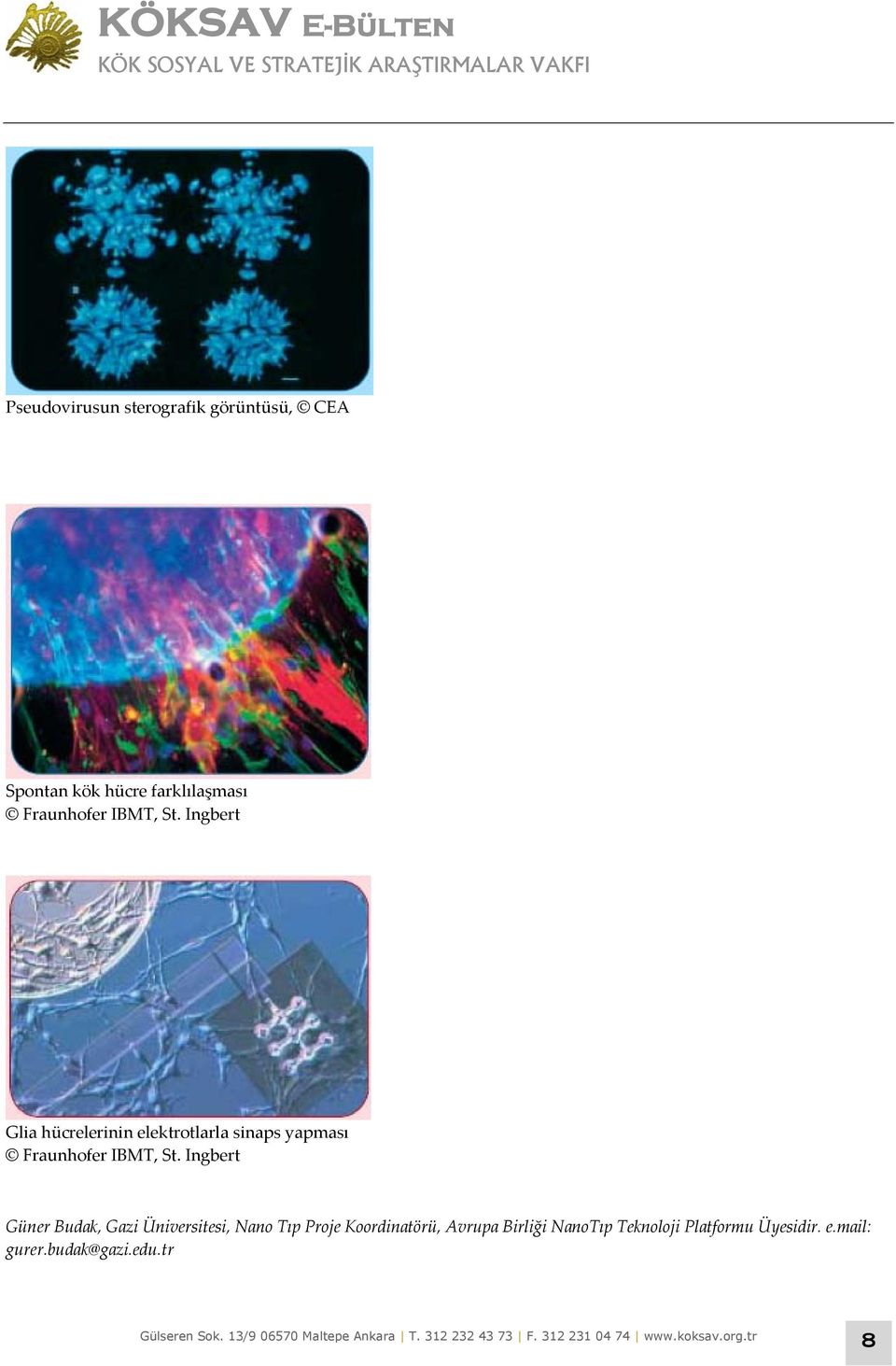 Ingbert Glia hücrelerinin elektrotlarla sinaps yapması  Ingbert Güner Budak, Gazi