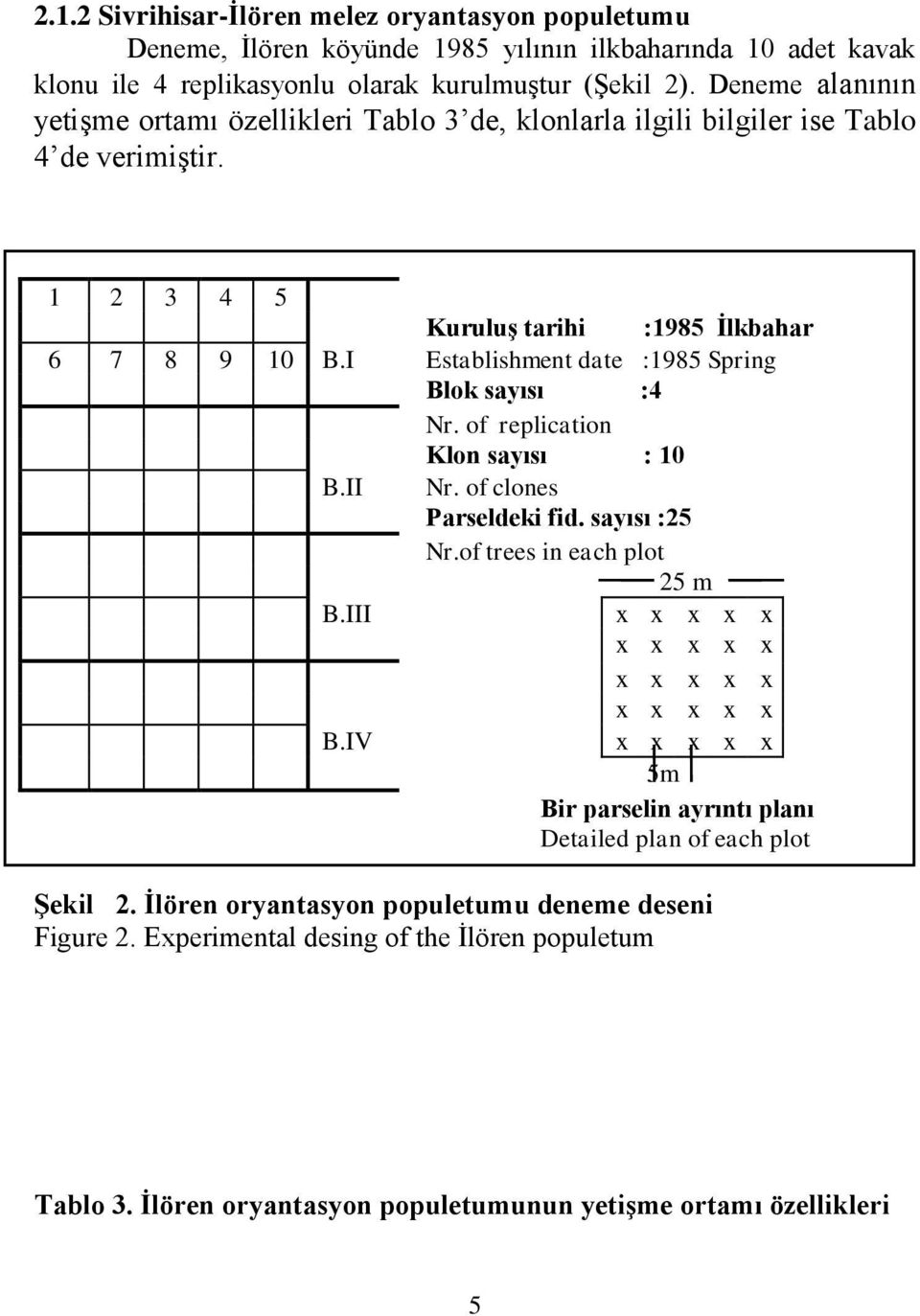 I Establishment date :1985 Spring Blok sayısı :4 Nr. of replication Klon sayısı : 10 B.II Nr. of clones Parseldeki fid. sayısı :25 Nr.of trees in each plot 25 m B.