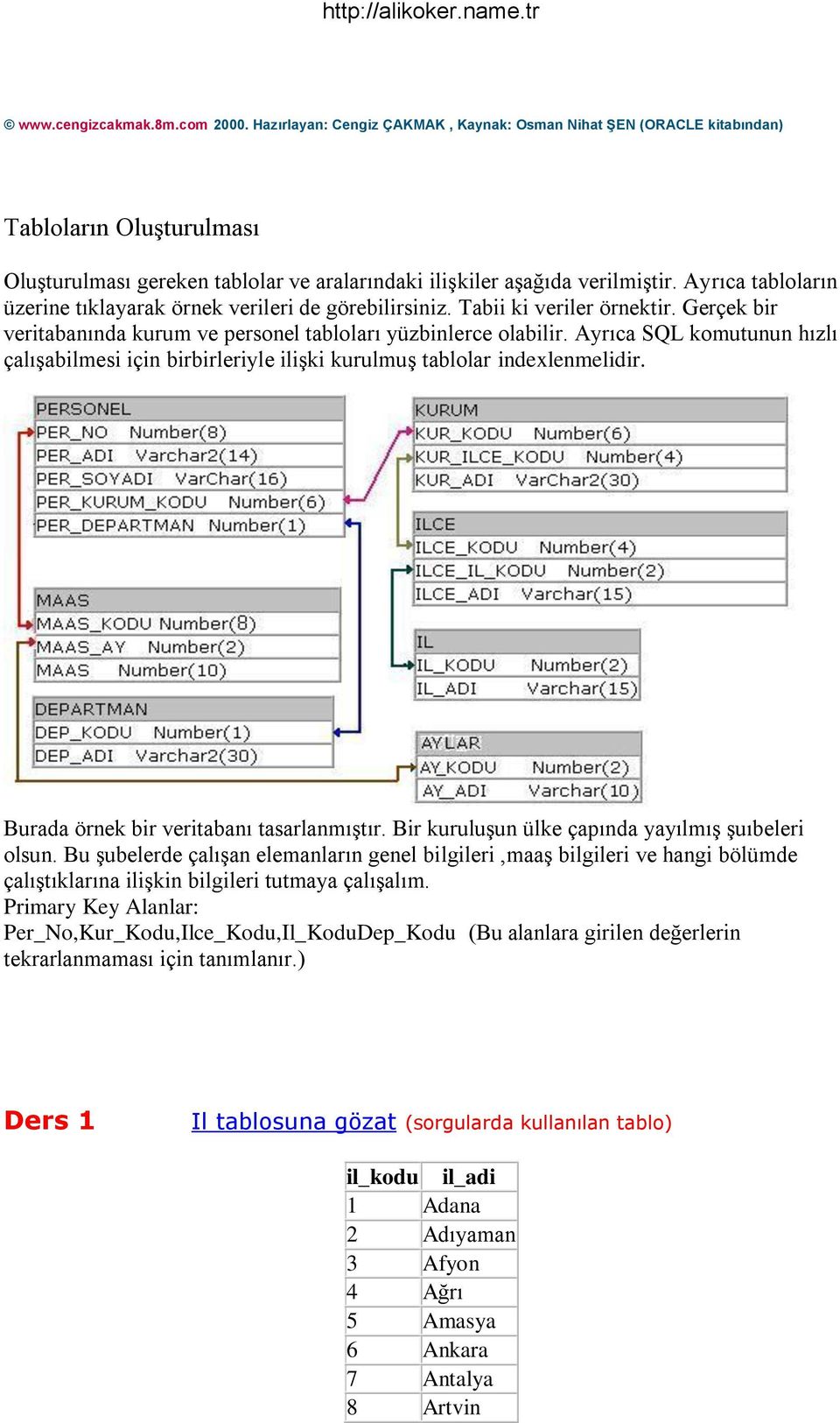 Ayrıca tabloların üzerine tıklayarak örnek verileri de görebilirsiniz. Tabii ki veriler örnektir. Gerçek bir veritabanında kurum ve personel tabloları yüzbinlerce olabilir.