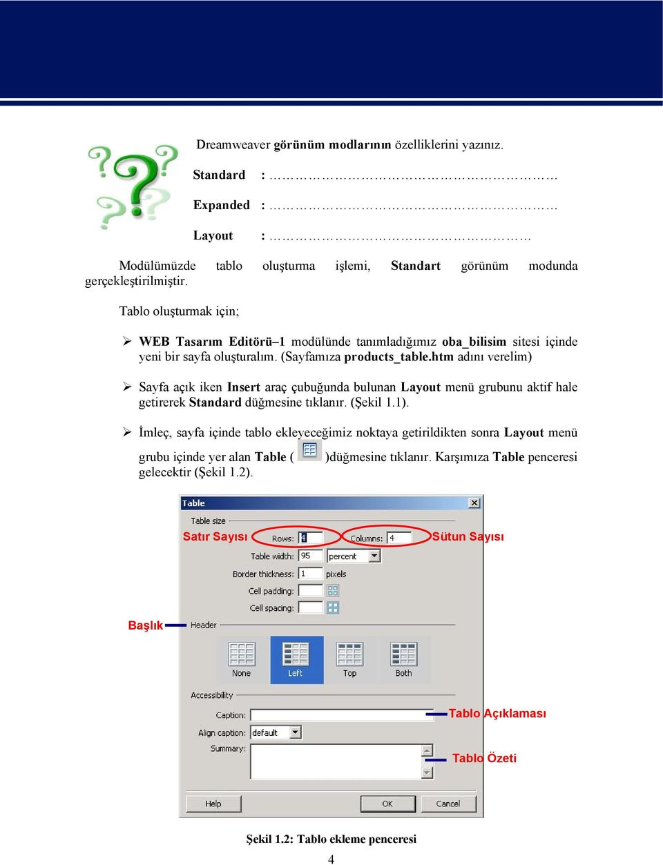 htm adını verelim) Sayfa açık iken Insert araç çubuğunda bulunan Layout menü grubunu aktif hale getirerek Standard düğmesine tıklanır. (Şekil 1.1).