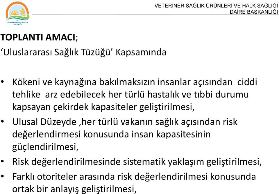 geliştirilmesi, Ulusal Düzeyde,her türlü vakanın sağlık açısından risk değerlendirmesi konusunda insan kapasitesinin güçlendirilmesi,