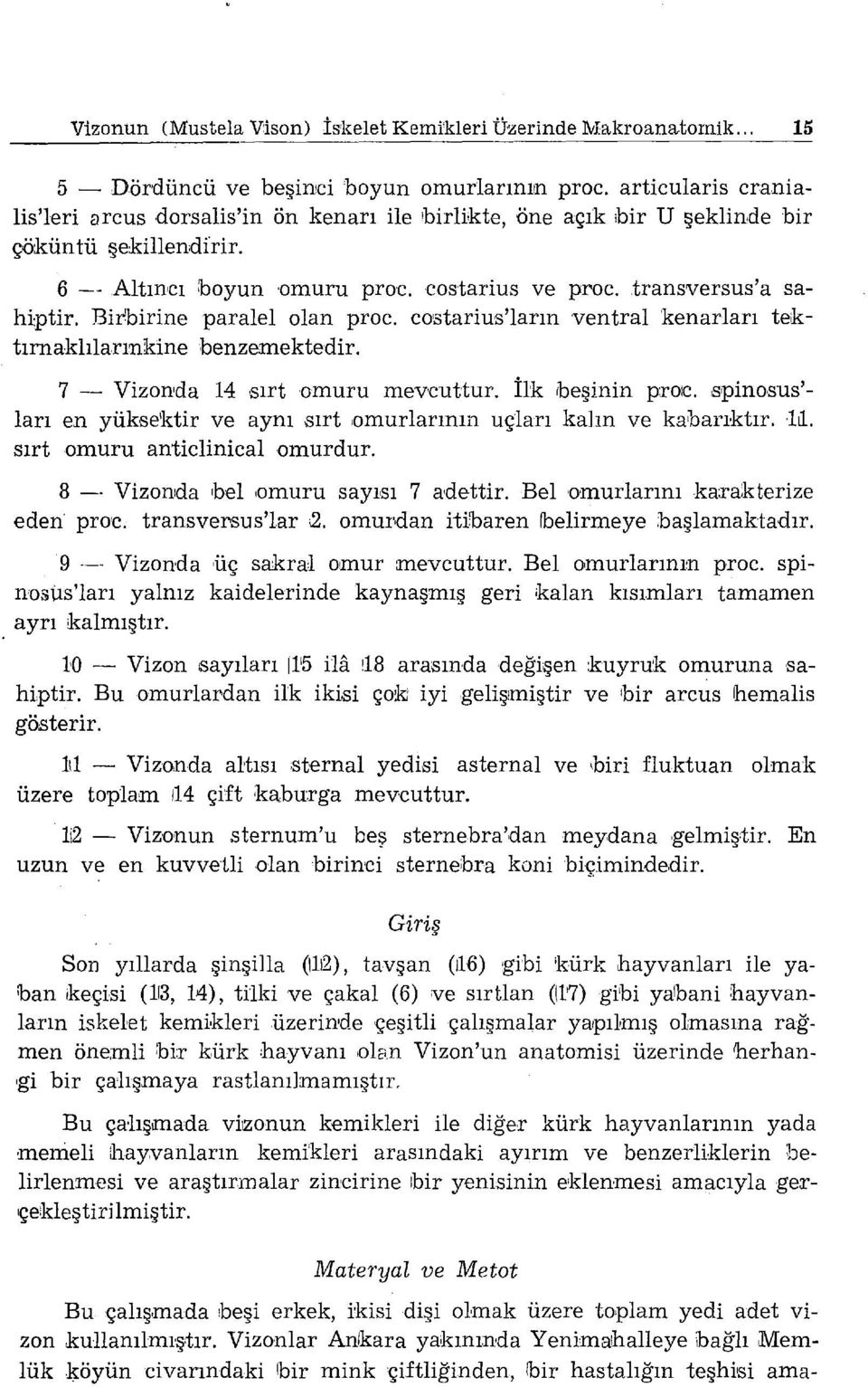 Bitbirine paralel olan proc. costarius'ların ventral kenarları tektırnaklıla.rınkine benzemektedir. 7 - Vizonıda 14 sırt omuru mevcuttur. İlk tbeşinin p:r01c. ıspino.