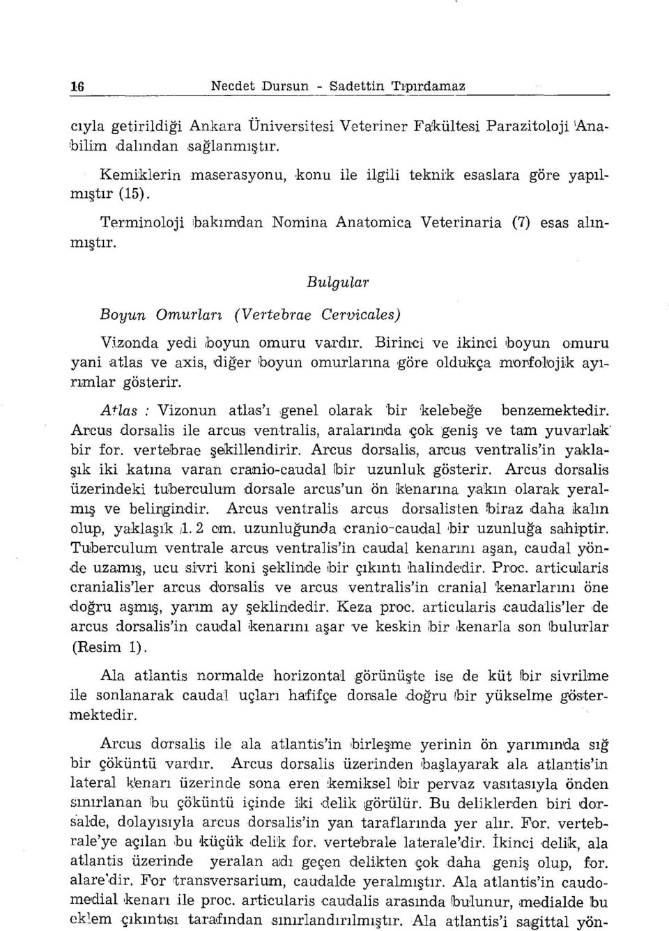 Terminoloji lbakımdan Bulgular Boyun Omurları (Vertebrae Cervicales) Vtzonda yedi rboyun arnuru vardır.